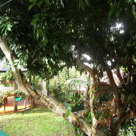 Les Agapanthes Villa Le Tampon Kültér fotó